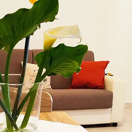 I Corbezzoli Apartment *