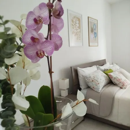 I Corbezzoli Apartment Porto Torres